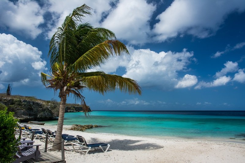Beach landscape sea coast tree water 1238800 pxhere.com